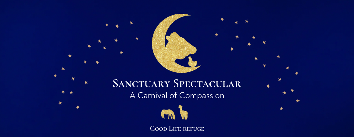 Sanctuary Spectacular Early Bird Registration